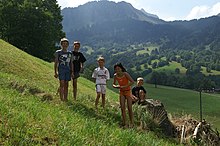 Children on a meadow in Au in Bregenzerwald