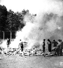 Una delle foto del Sonderkommando (ritagliata), che mostra le vittime della camera a gas che vengono bruciate