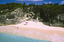 Jedna z bermudských pláží s ružovým pieskom v parku Astwood