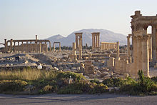 Landscape in and around Palmyra (2005)