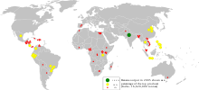 Produzione di banane, in percentuale del primo produttore (India). Un cerchio giallo rappresenta il 10%, uno rosso l'1%.