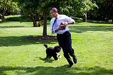 Obama ja perekonna presidendikoer Bo jooksevad Valge Maja territooriumil