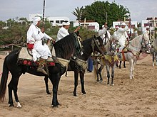 Fantasia: The folkloric equestrian game is based on the early warfare of the Berbers.