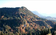 Mixed mountain forest in autumn near Burgberg, Oberallgäu district