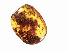 The term "electricity" is based on the Greek word for amber.