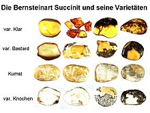 Varieties of succinite from the Bitterfeld deposit
