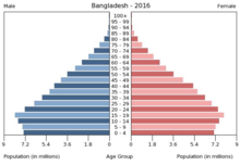 Population pyramid 2016: Bangladesh birth rate declined significantly
