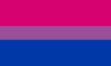 バイセクシャルのプライドフラッグ。ピンクは同性への魅力（同性愛）、青は異性への魅力（異性愛）、紫は両性への魅力（ピンク＋青＝紫）を意味します。