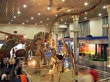 Dinosaurs in the exhibition area