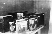 Buchenwald 16 april 1945. Verzameling van interne organen van gevangenen. Foto genomen door Jules Rouard, militair vrijwilliger ingelijfd bij het 1ste Amerikaanse leger, 16éme Bataillon de Fusiliers.