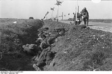 Bodies of Polish soldiers in a ditch (September 1939)