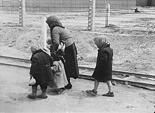 An old woman with children on the way to the gas chambers in Auschwitz-Birkenau (May 1944) - photograph from the "Auschwitz Album