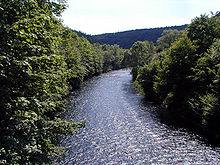 The Wupper in the Burgholz State Forest