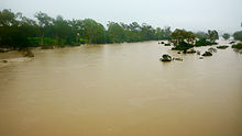 De gezwollen Burnett rivier bij Gayndah, 350 kilometer (220 mi) ten noordwesten van Brisbane.
