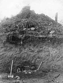 Excavation at the Great Fraser Midden, where ancestors of today's Salish lived more than 4000 years ago. The site, a National Historic Site since 1933, had to be abandoned since the smallpox epidemic of 1775 (photograph from 1908).