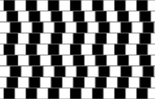 A ilusão da parede do café: as linhas horizontais são paralelas, apesar de parecerem estar em ângulos diferentes uma da outra