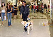 Blind man with his guide dog