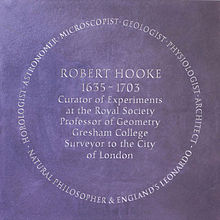 Robert Hooke: curator of experiments at the Royal Society, professor of geometry at Gresham College, and surveyor of the city of London; clockmaker, astronomer, microscopist, geologist, physiologist, architect, natural philosopher, and England's Leonardo.