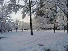 Een park bedekt met sneeuw tijdens de winter