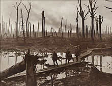 The Chateau Forest (Schlosswald) near Ypres consisted of nothing but tree stumps after the intense artillery bombardments (1917). Large parts of Belgium and northern France were devastated during the war