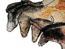 Zeichnungen von Pferden aus der Chauvet-Höhle