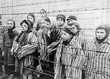 Gemelli ebrei che sono stati tenuti in vita per essere usati negli esperimenti medici di Mengele. Furono liberati da Auschwitz dall'Armata Rossa nel gennaio 1945
