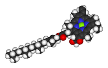 Modelo de preenchimento de espaço da clorofila uma molécula