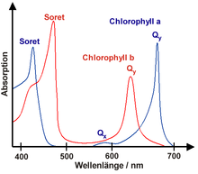 Absorption spectrum of the green leaf pigment chlorophyll a and b, with which plants can absorb and subsequently utilize light; see also Soret band