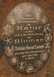 Sprengel herdacht: een kleine gedenkplaat, ontworpen naar het frontispice van zijn boek, bevindt zich in de Botanische Tuinen van Berlijn