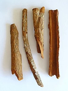 A casca da árvore (Cinchona officinalis) quinina é extraída de