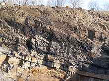 Low thickness coal seams (Namur C, Upper Carboniferous) in a quarry at Wetter (Ruhr)