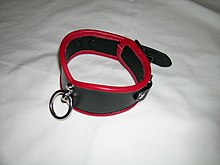 front view of a typical collar; these are often worn by bottoms and serve as a symbol of submission