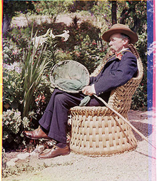 Kleurenfotografie bestond al lang voor de kleurenfilm, zoals te zien is op dit portret uit 1903 van Sarah Angelina Acland. In de beginjaren waren speciale apparatuur, lange belichtingen en ingewikkelde afdrukprocessen nodig, waardoor het zeldzaam werd.  