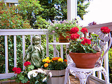 Container tuin op veranda  