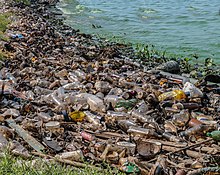 Duża część brzegu jeziora jest skażona odpadami