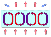 Convection cells in a vessel heated from below