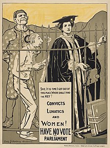 Veroordeelden, krankzinnigen en vrouwen hebben geen stemrecht in het parlement. Deze poster werd gemaakt in 1908 en werd gebruikt om de rechten van vrouwen te ondersteunen. Hoewel deze poster is gemaakt om campagne te voeren om vrouwen te laten stemmen bij verkiezingen, getuigt hij ook van incompetentie tegenover geesteszieken.  
