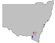 Os sapos corroborados do norte vivem na área vermelha, os sapos Corroboree do sul na área azul