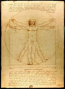 De "Vitruvian man" van Leonardo da Vinci is een studie naar hoe een menselijke figuur kan worden ingepast in twee geometrische vormen, de cirkel en het vierkant.