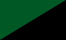 Black and green flag of anarcho-primitivism (see also Anarchist symbolism.)