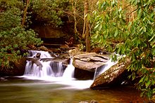 The Davidson River in Transylvania County in Western North Carolina