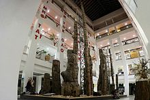 The Petrified Forest of Chemnitz in the atrium of the Museum of Natural History Chemnitz at DAStietz