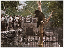 Fotocópia do poço do urso do zoológico Lincoln Park, ca. 1897-1901
