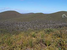 Heidelandschap in de Stirling Range, West-Australië, met in het midden een met dieback geïnfecteerde vallei