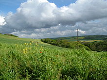 Downland landscape in the Ranscombe Conservation Area near Cuxton, Kent.