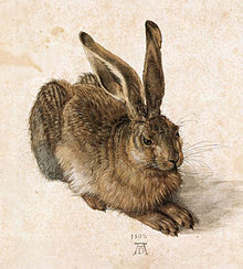 Ung hare , 1502, akvarel og bodycolour (Albertina).  