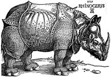 Rinocerul lui Dürer, xilogravură, 1515.  