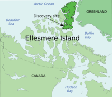 埃尔斯米尔岛Tiktaalik化石的发现地点