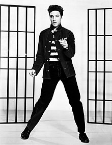 Elvis Presley, rock and roll zanger  