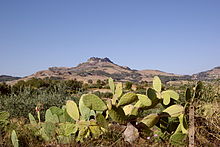 Mediterranean landscape in Sicily